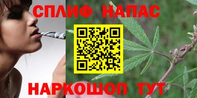 не бодяженный Будённовск